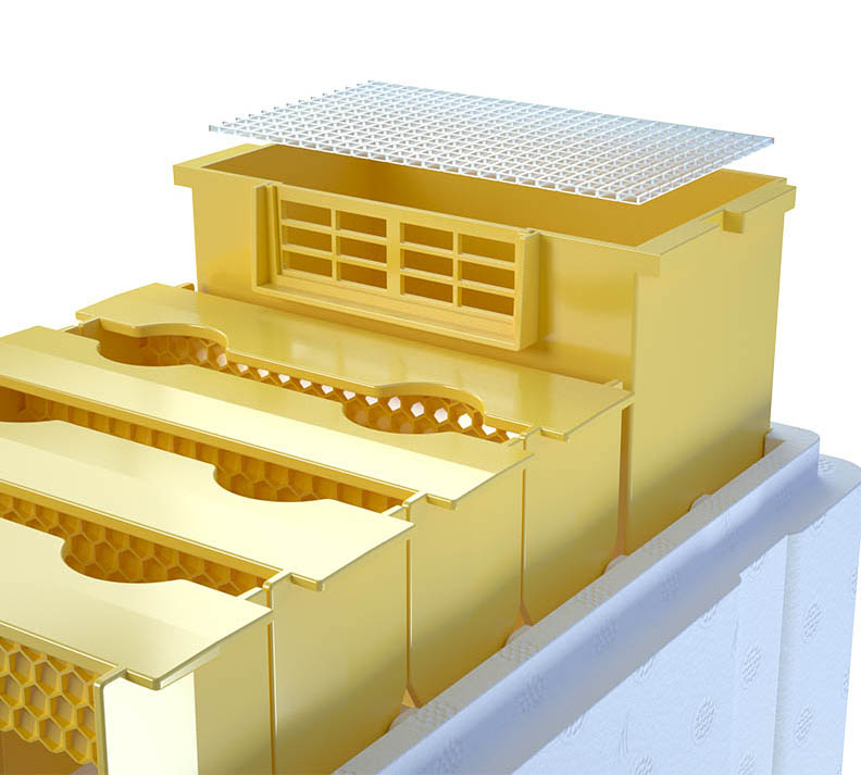 RUBEE® Begattungskasten "Obersee"