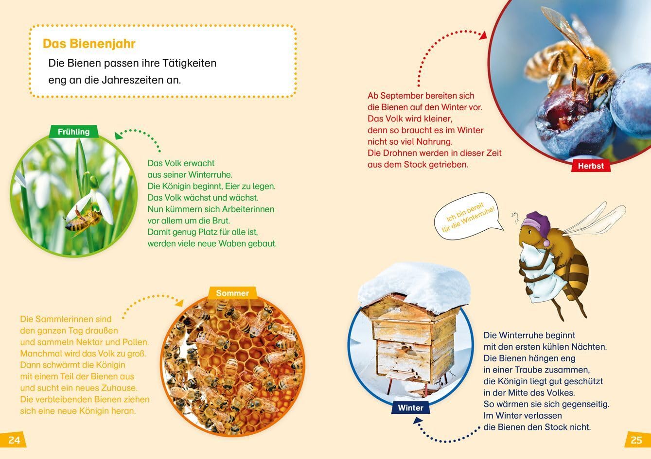 WAS IST WAS Erstes Lesen Bienen