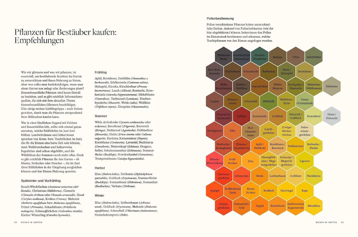 Honig - Rezepte und Geschichten einer Imkerin