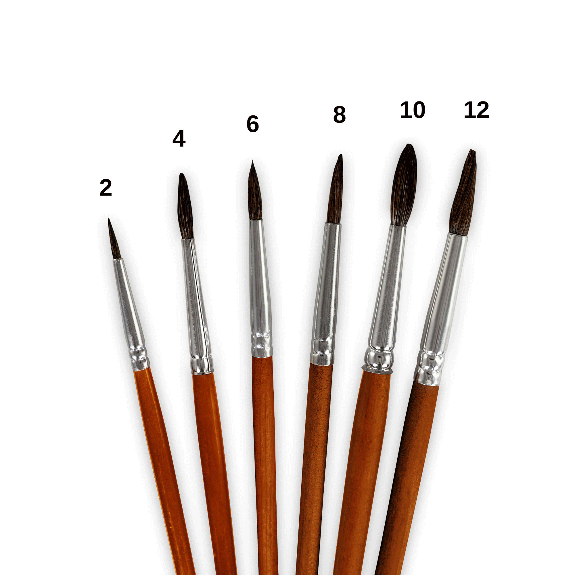 Pinsel, Größe 12