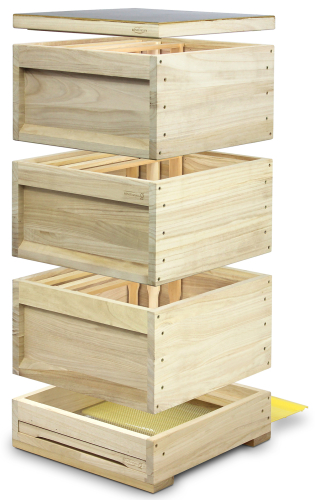 10er Liebig DN Kompaktbeute