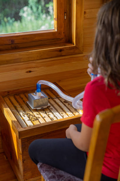 Bienenstockluft + Verdampfer