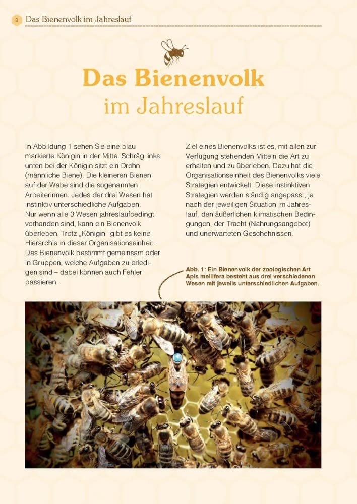 Mit Bienen die Welt retten