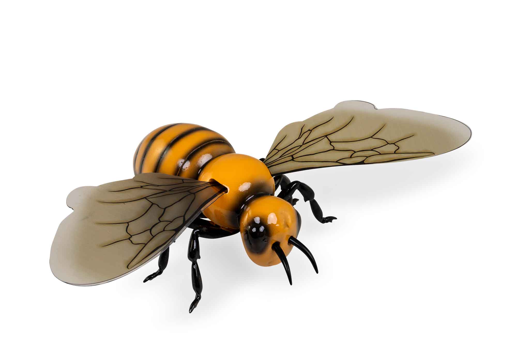 großes Bienen Model