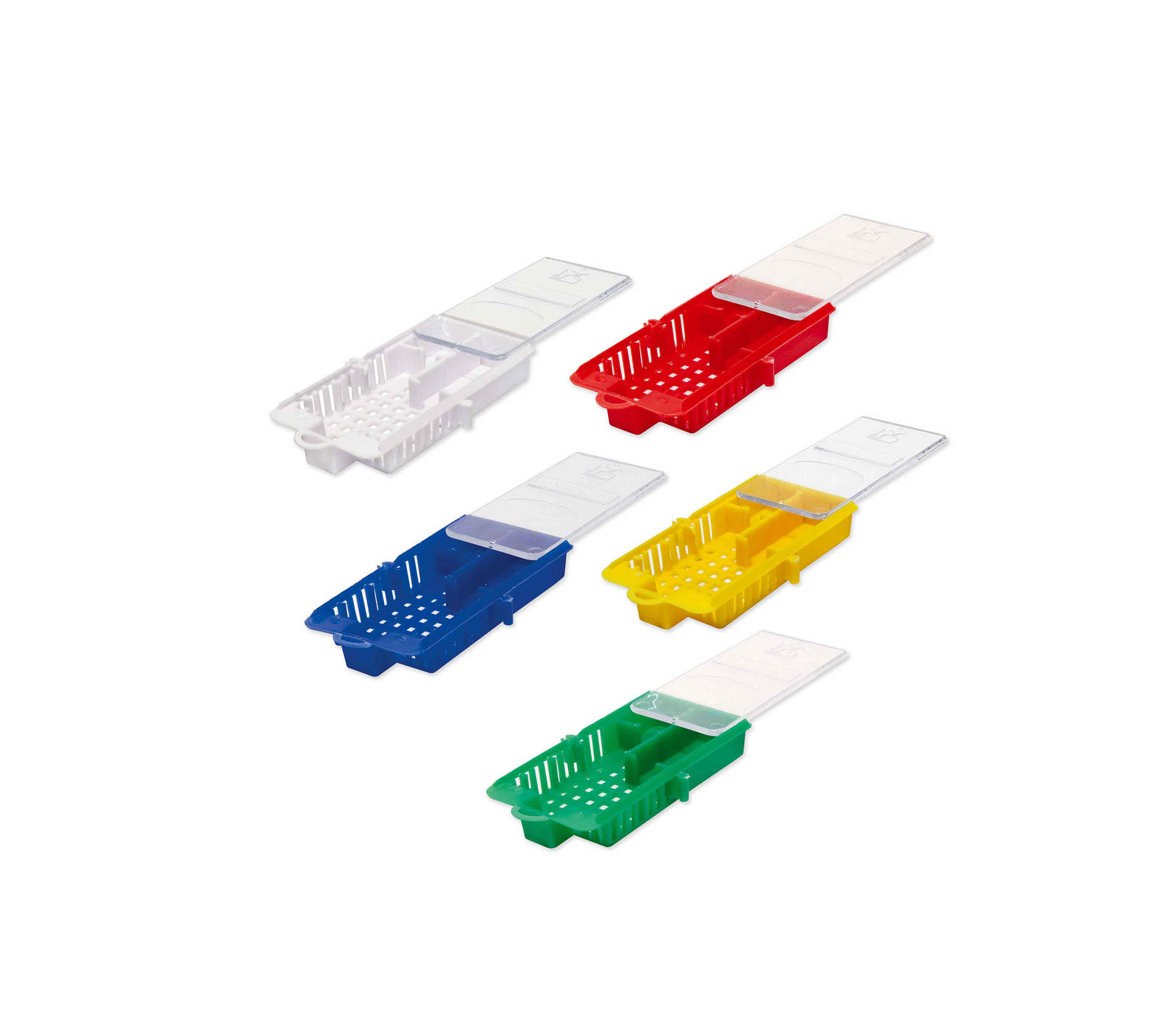 Königinnen zusetzen