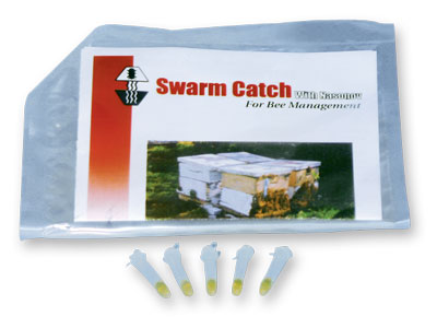 Pheromon - Schwarm Catch