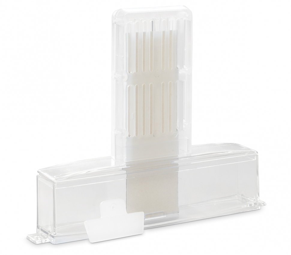 Verdunster nach Burmeister