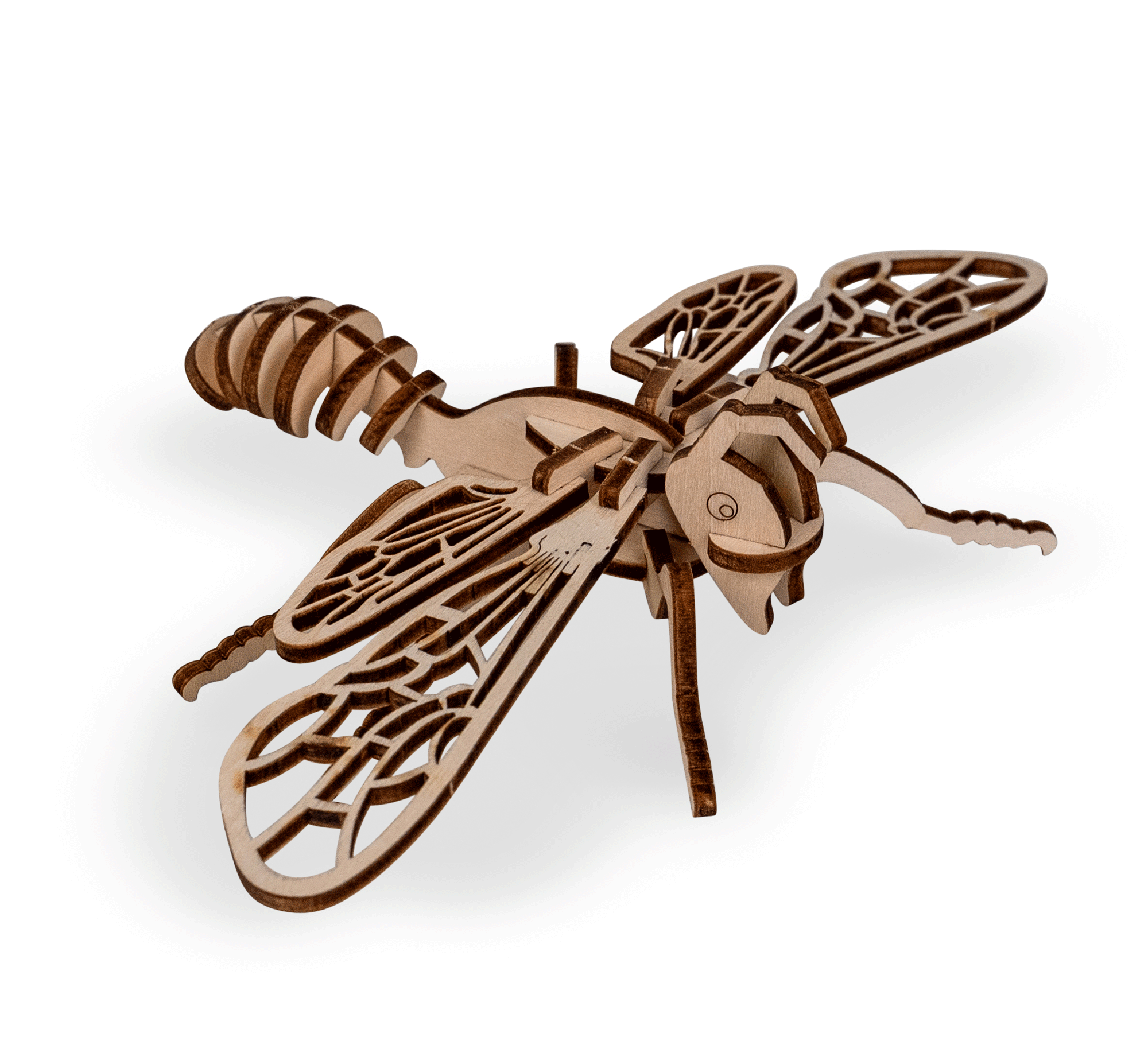 Biene 3D Holzmodell