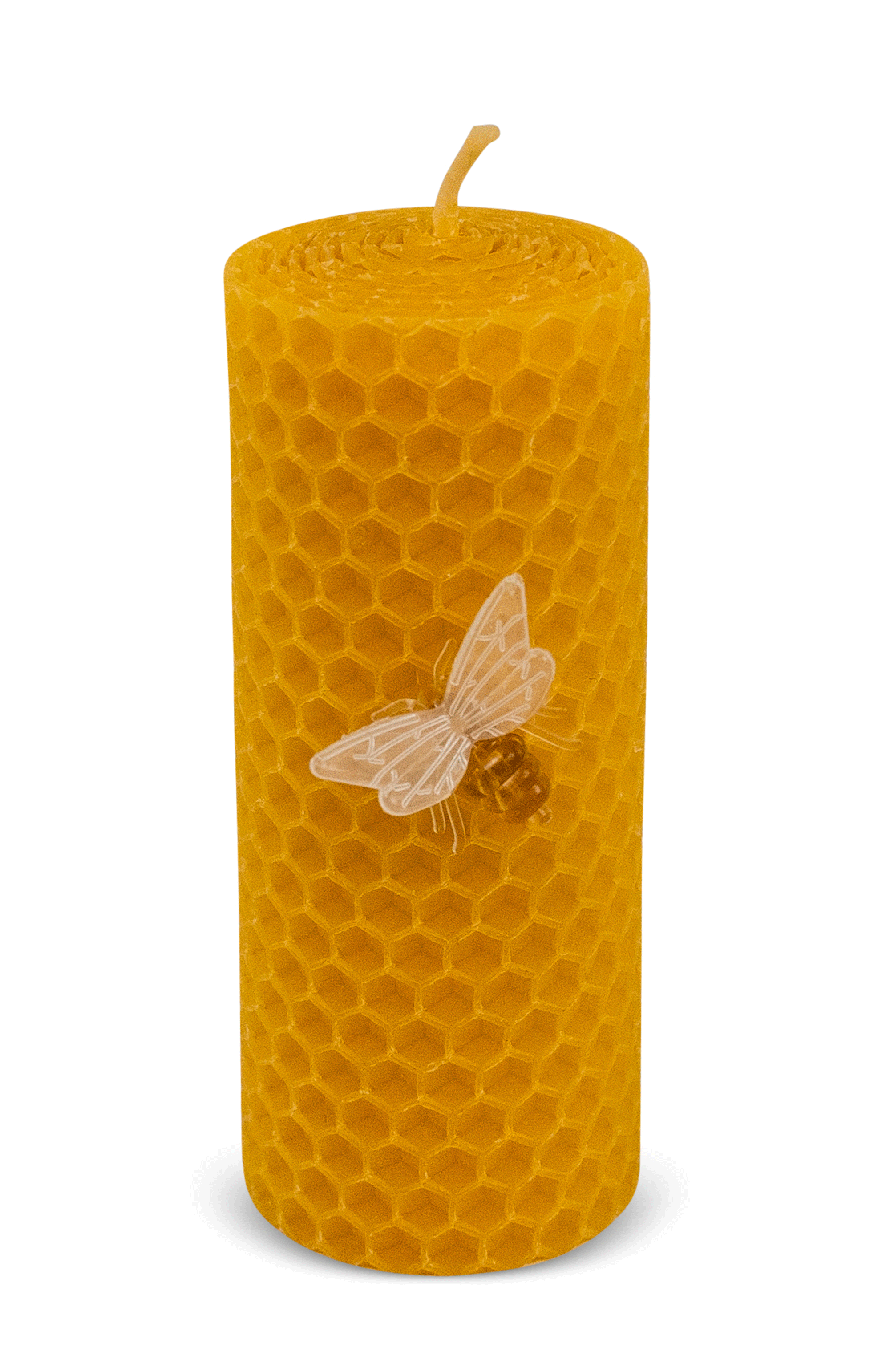 Plastikbiene mit Nadel