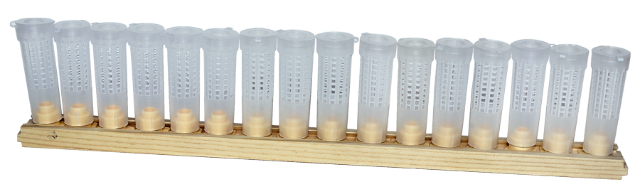 RuBee® Profi Zuchtleiste Dadant US