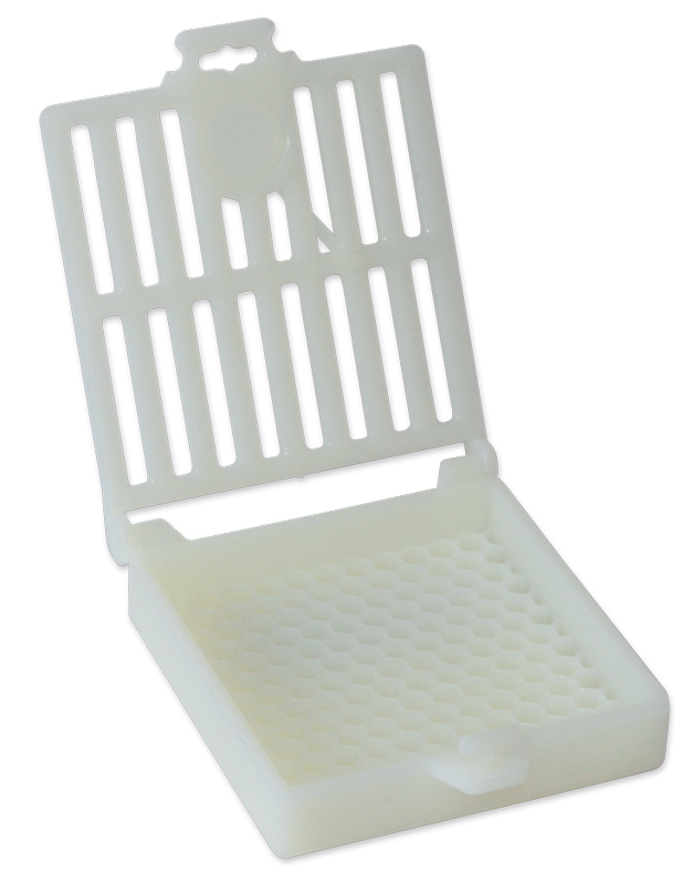 Königinnen Brutstopp Scalvini