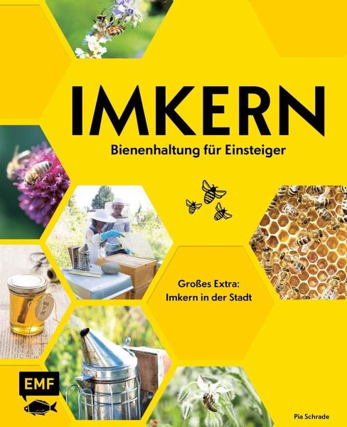 Imkern Bienenhaltung für Einsteiger