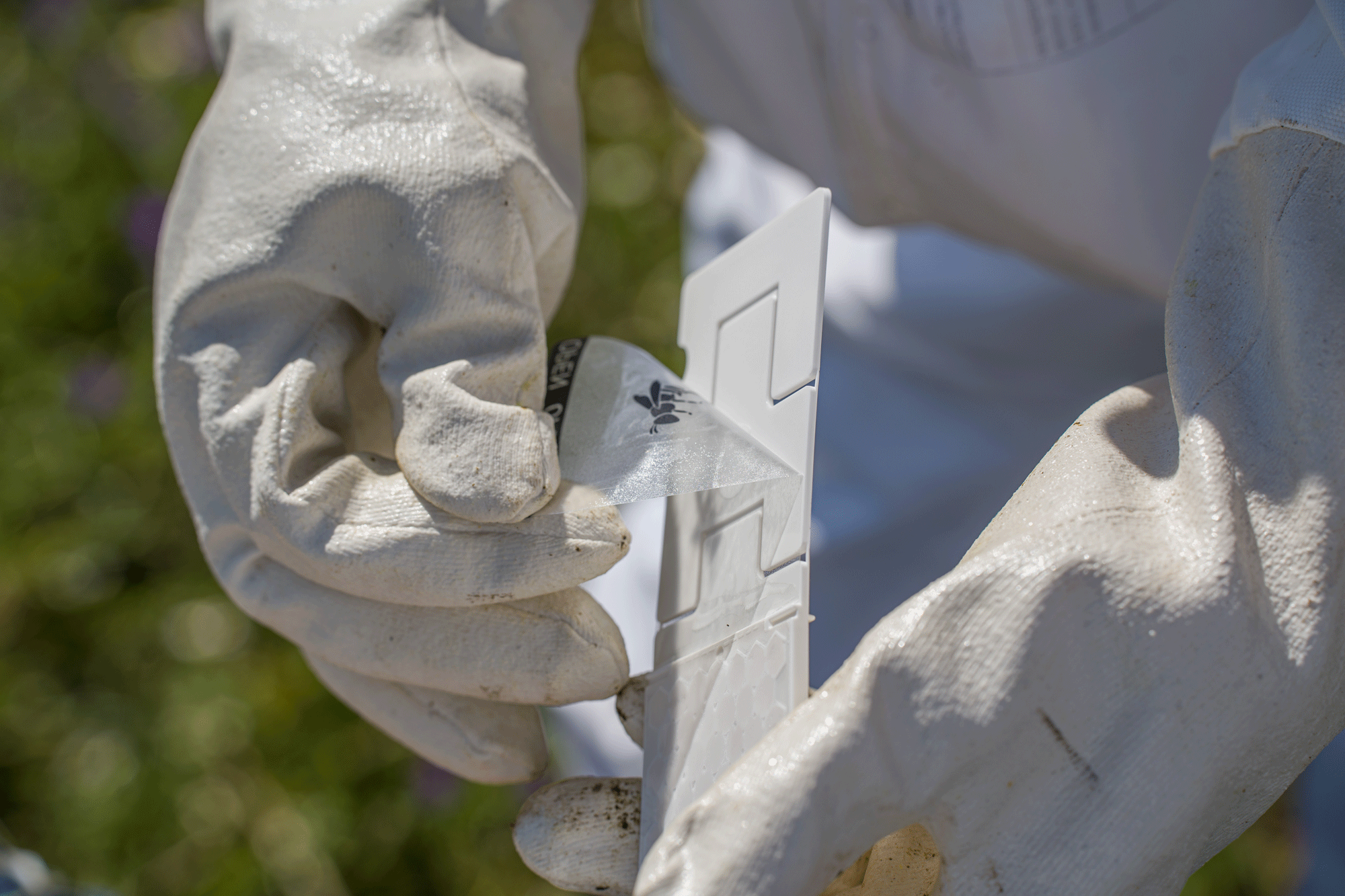 Calistrip® Biox Oxalsäurestreifen