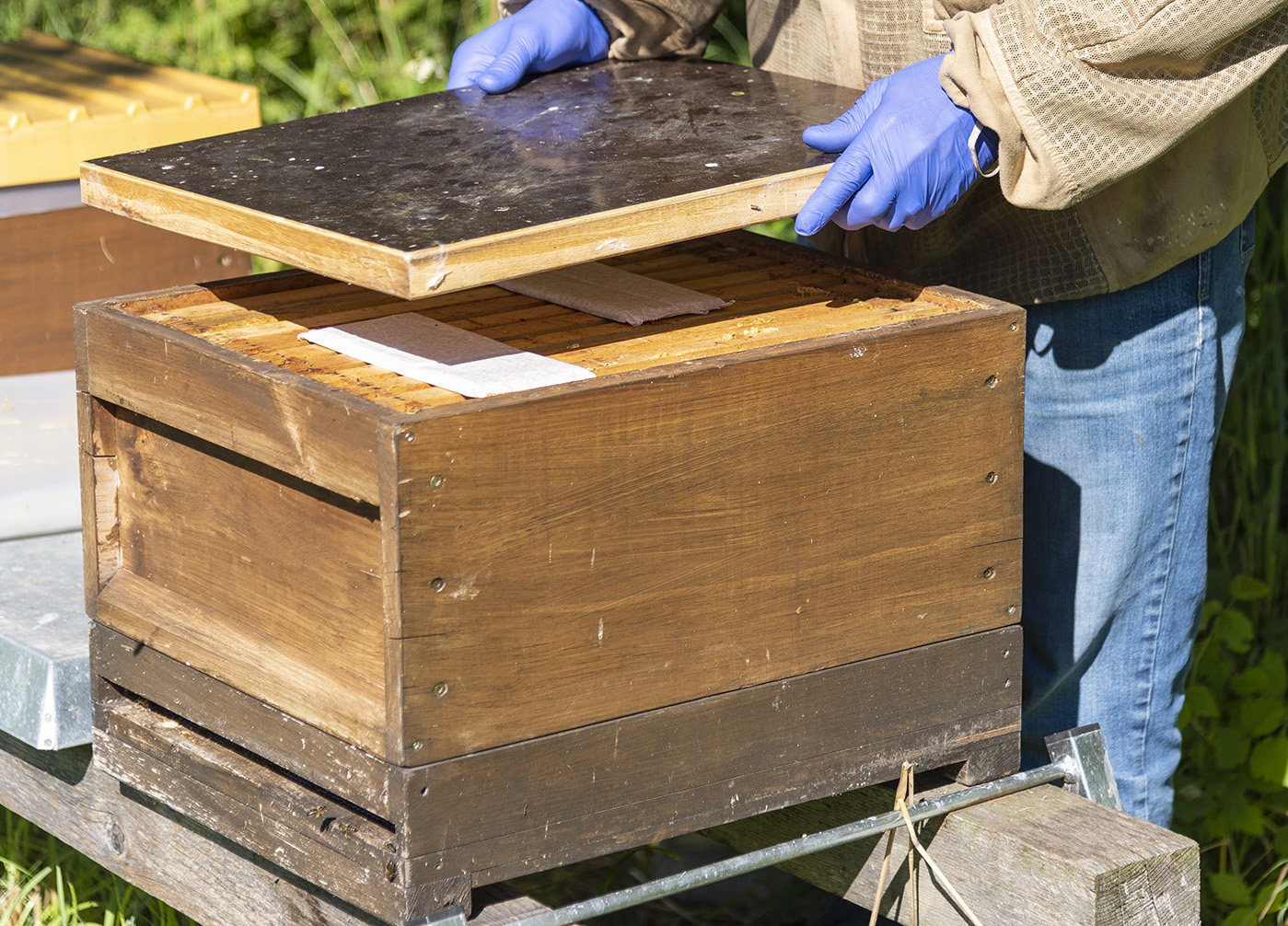 Formicpro Kleinpackung