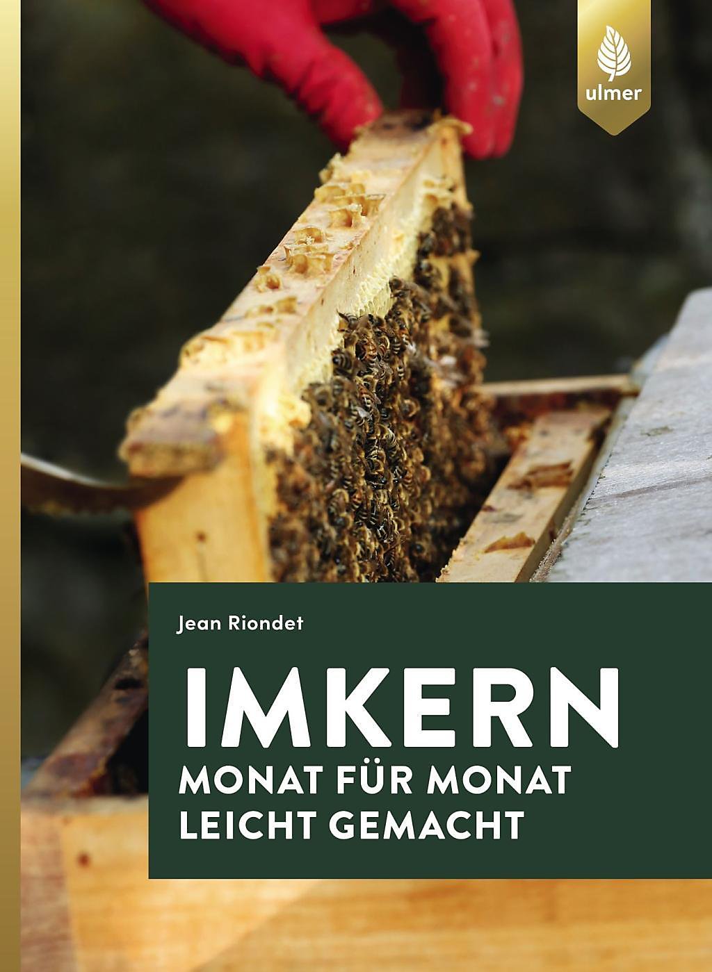 Monat für Monat Imkern leicht gemacht
