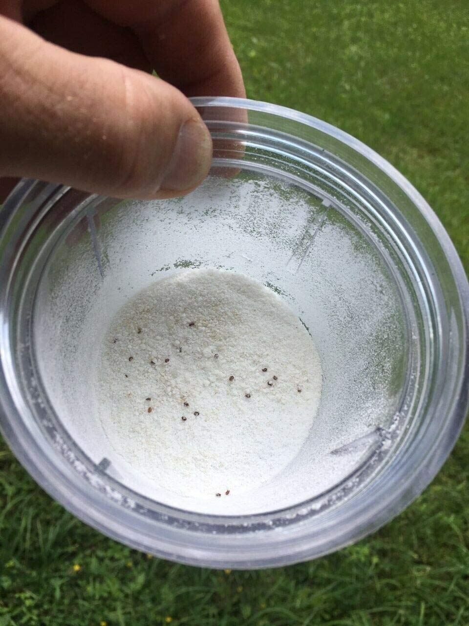 RuBee® Varroa Tester 3 in 1