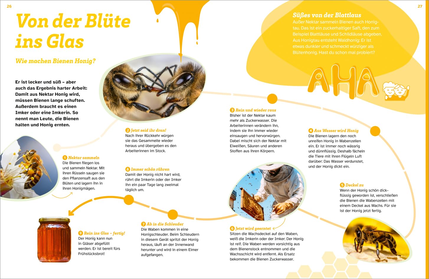 WAS IST WAS Bienen Summende Genies