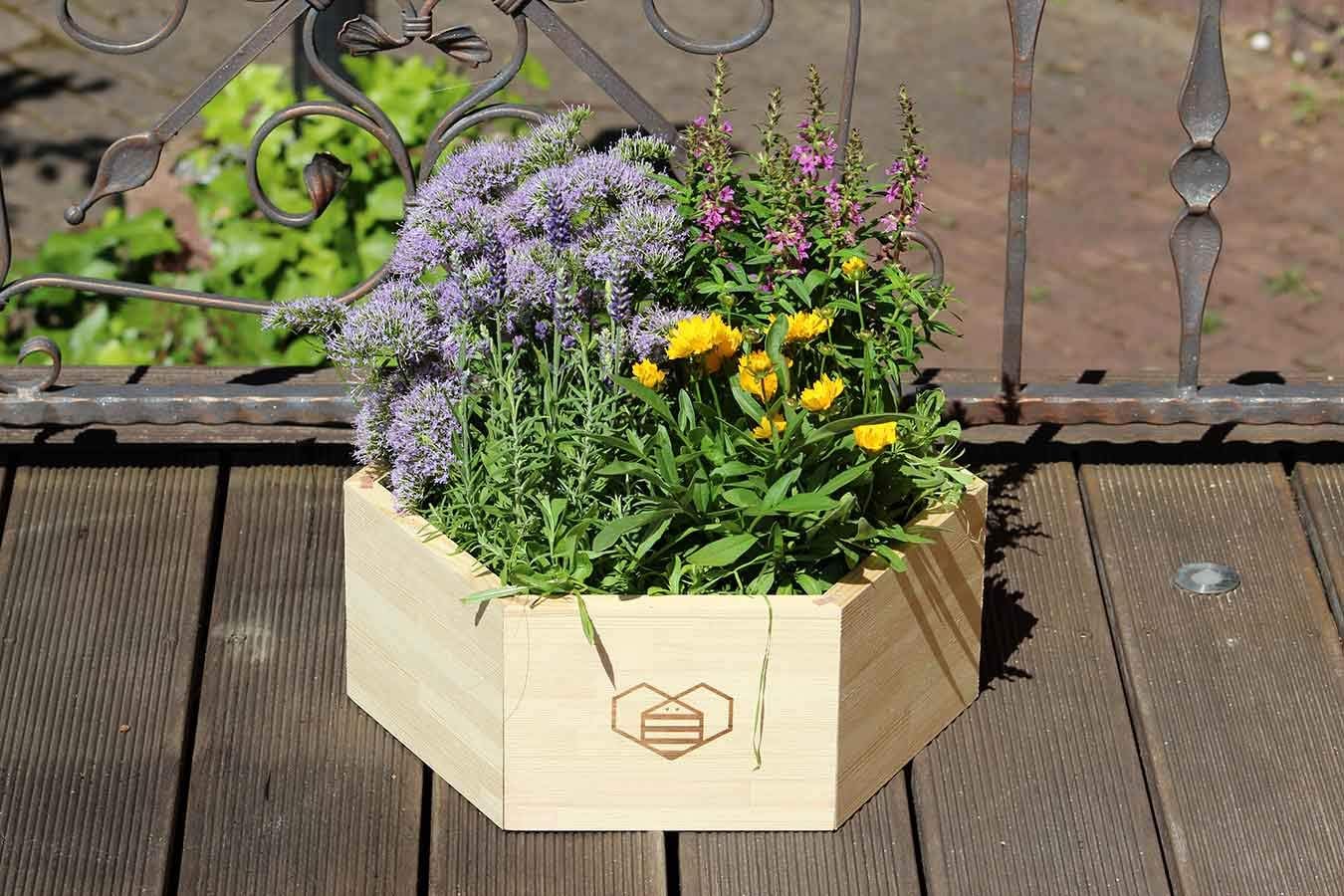 Bieneninsel DIY Bausatz