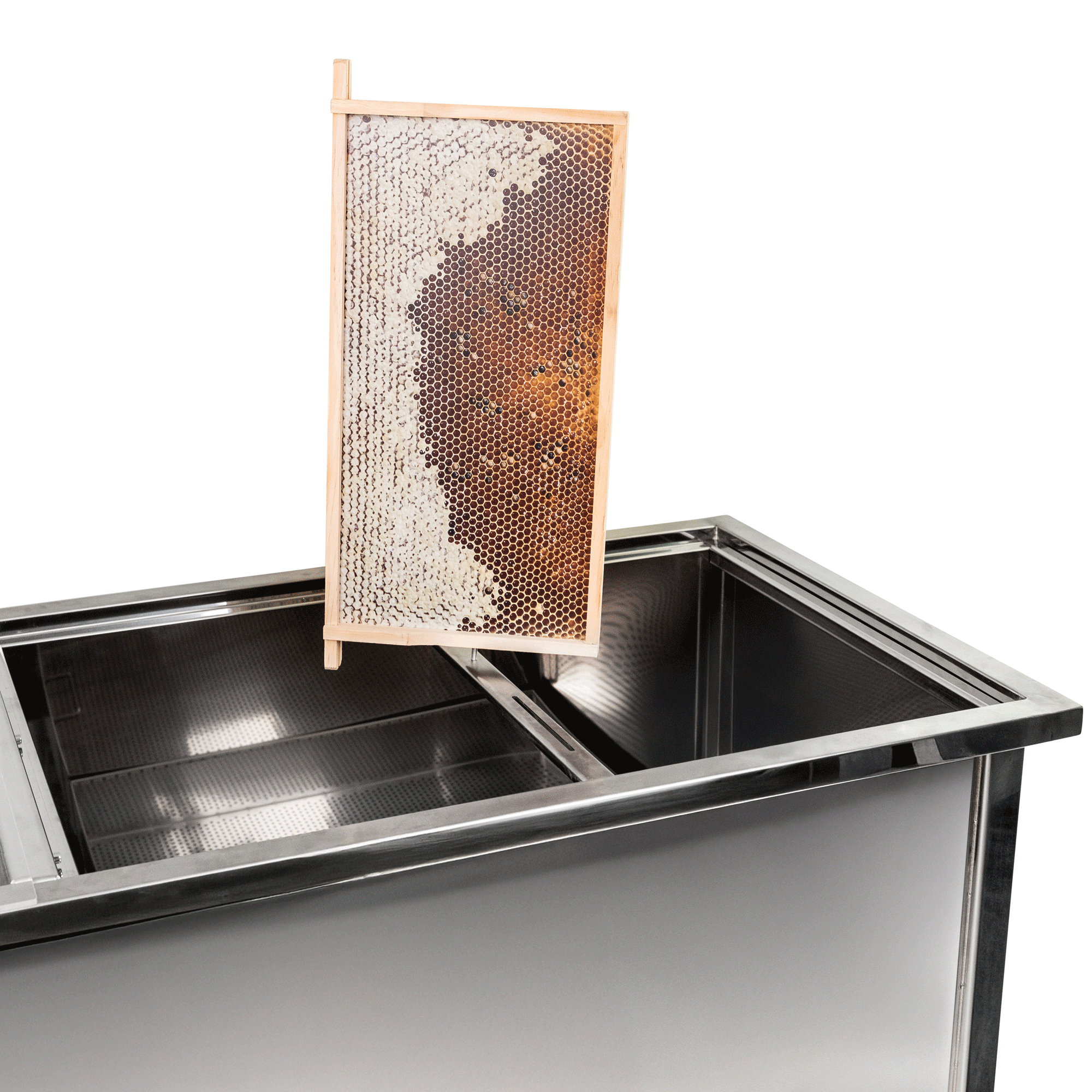 HOBBEE® Schleuder + Entdecklungstisch