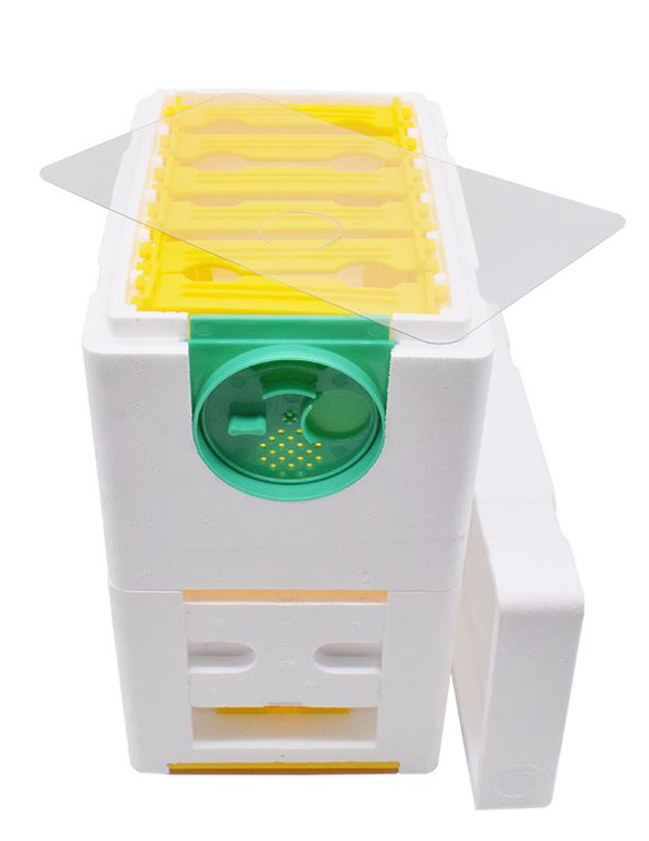 HOBBEE® Begattungsbox "Rheintal Plus"