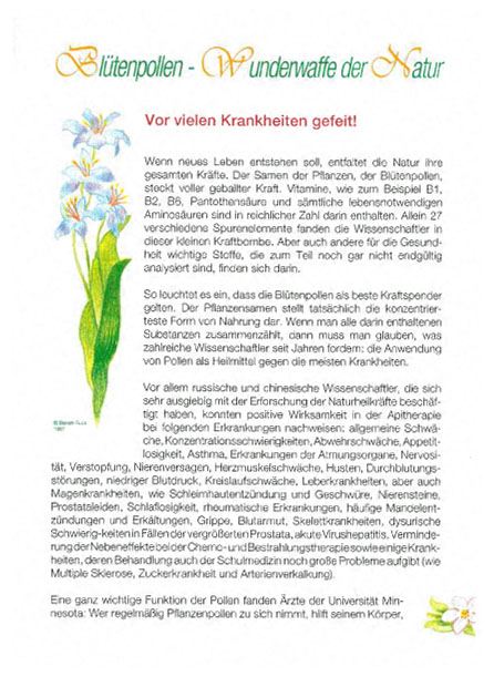 Werbebroschüre "Der Zauberkorb bringt Lebenskraft"