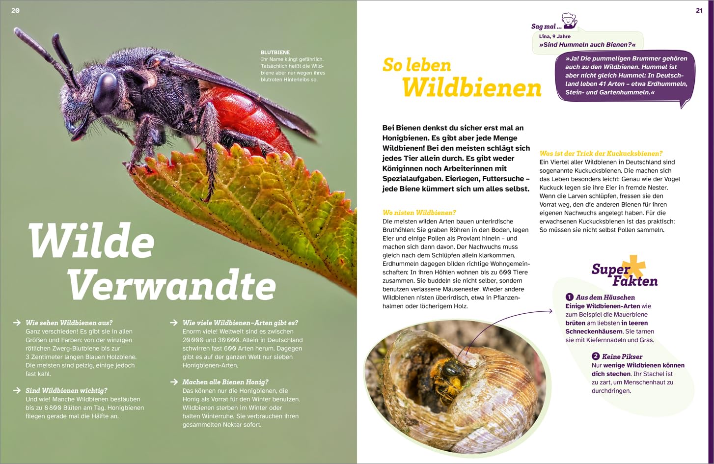 WAS IST WAS Bienen Summende Genies