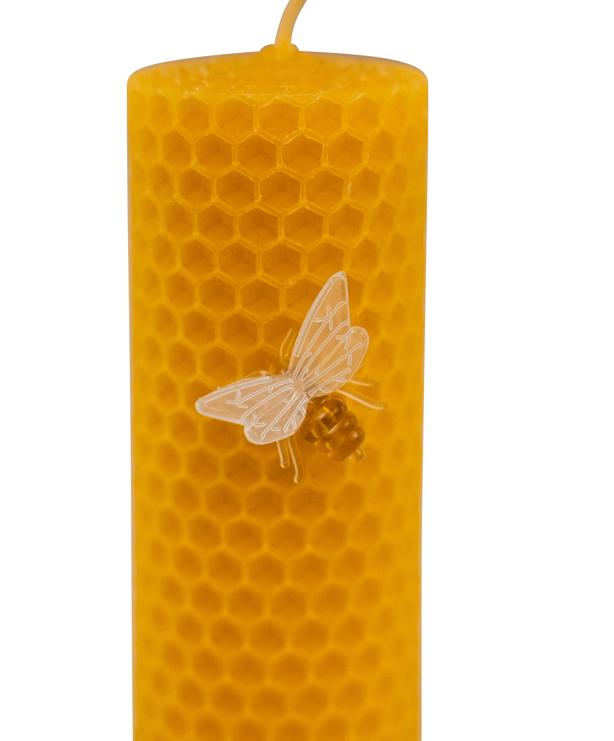 Plastikbiene mit Nadel