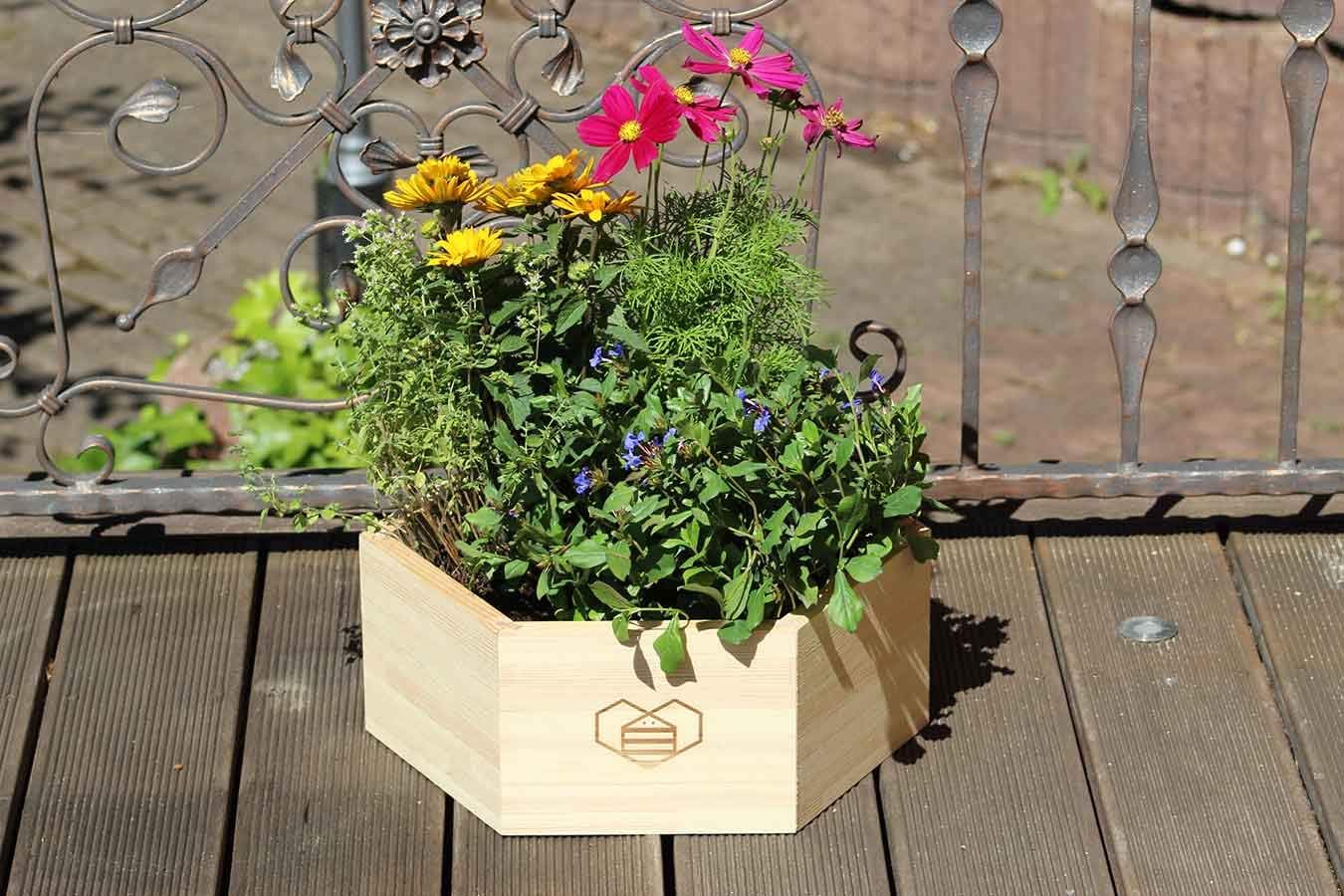 Bieneninsel DIY Bausatz