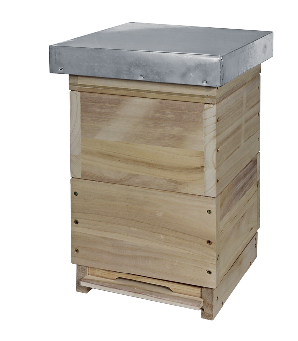 Holz Mini Plus Beute komplett "MAXI"