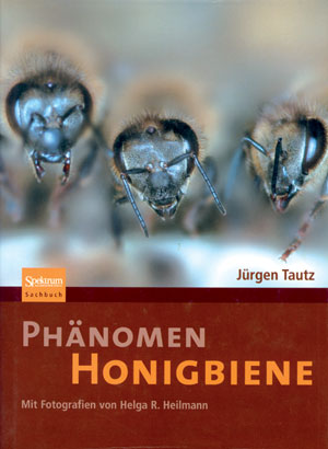 Phänomen Honigbiene