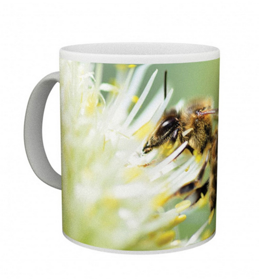 HOBBEE® Tasse "Biene auf Blüte"
