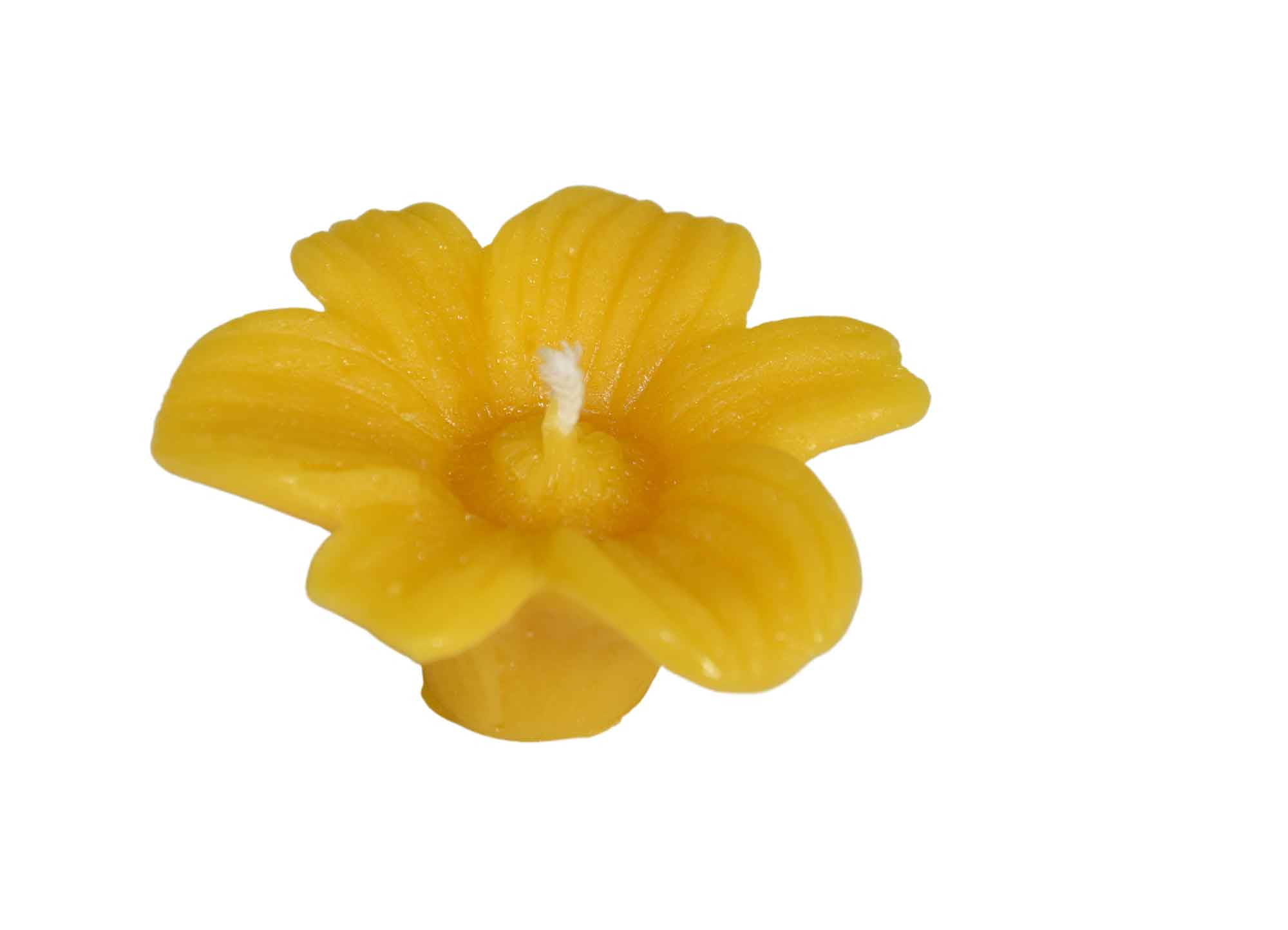 Gießform Schwimmkerze, Blüte