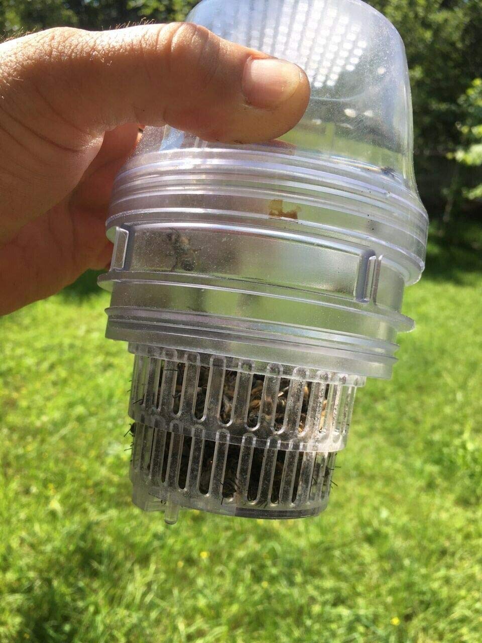 RuBee® Varroa Tester 3 in 1