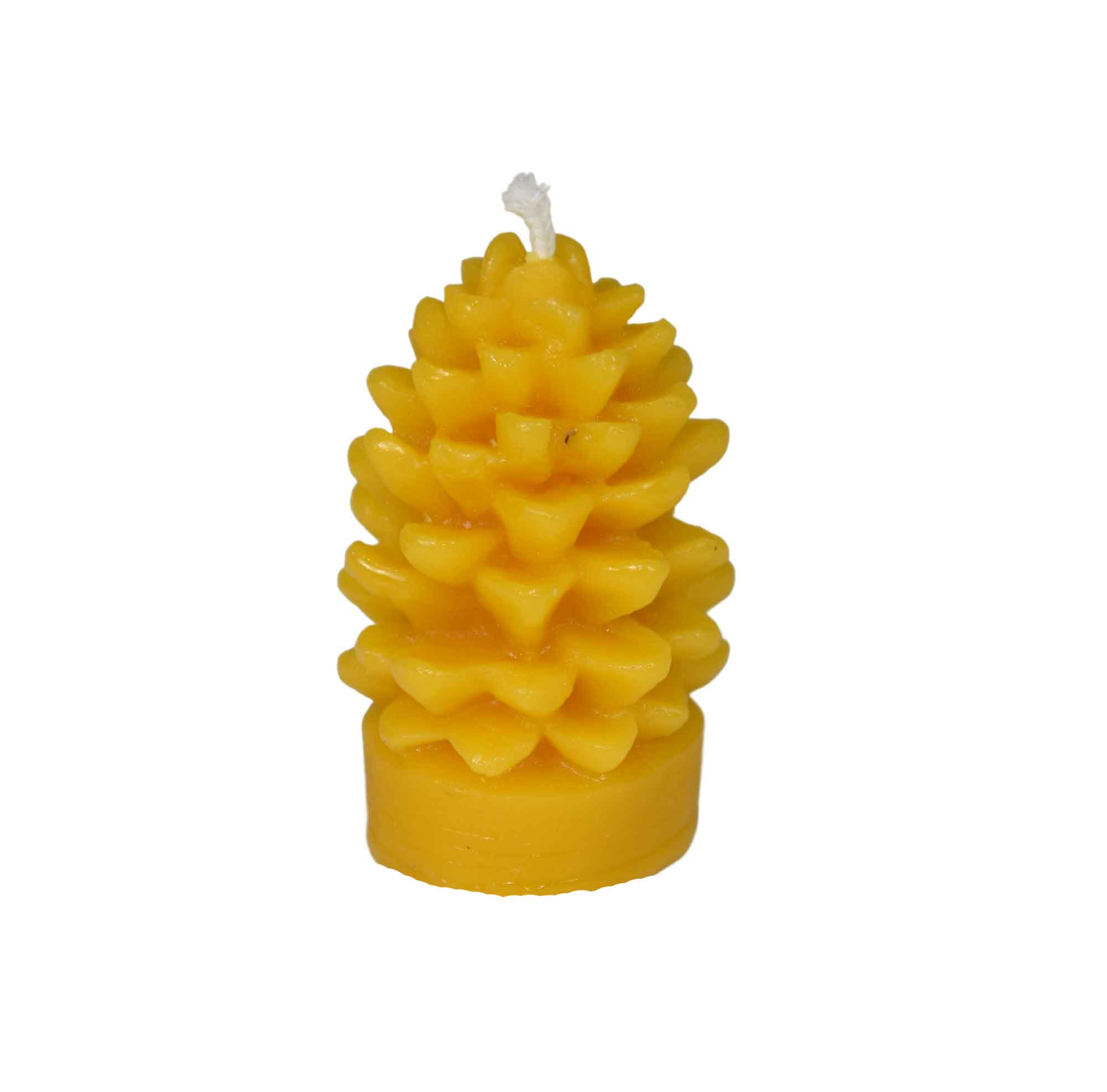 Gießform Tannenzapfen