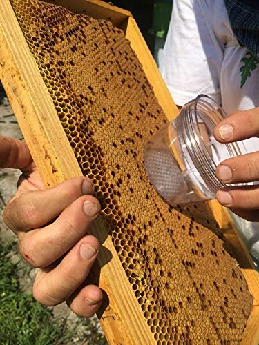 RuBee® Varroa Tester 3 in 1