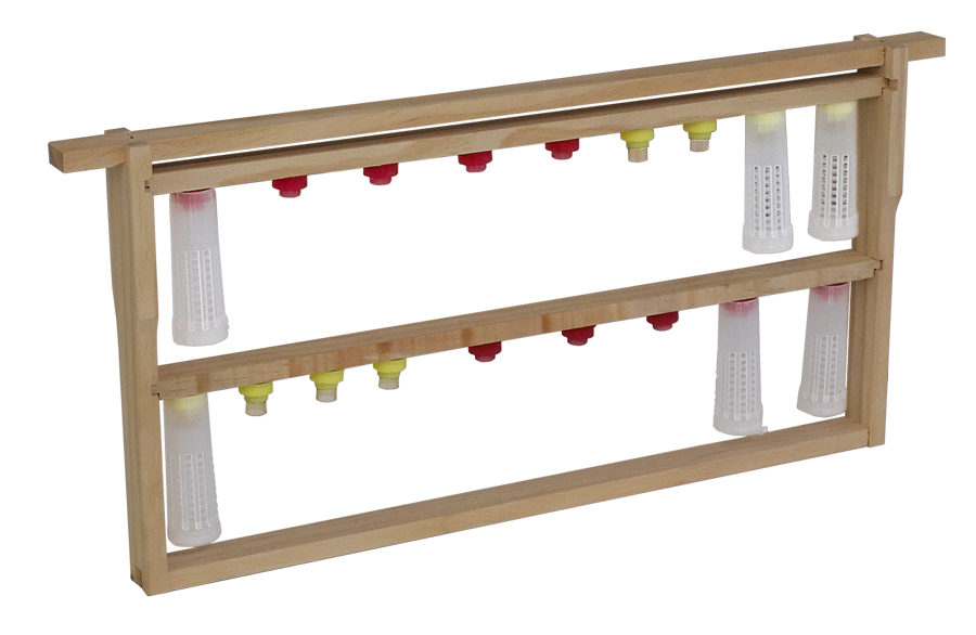 RuBee® Königinnensystem Rahmen