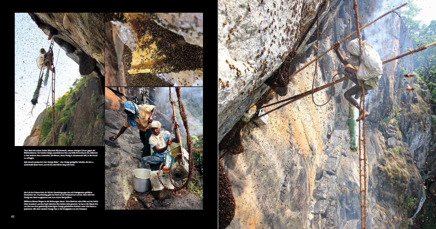 Die Wege des Honigs