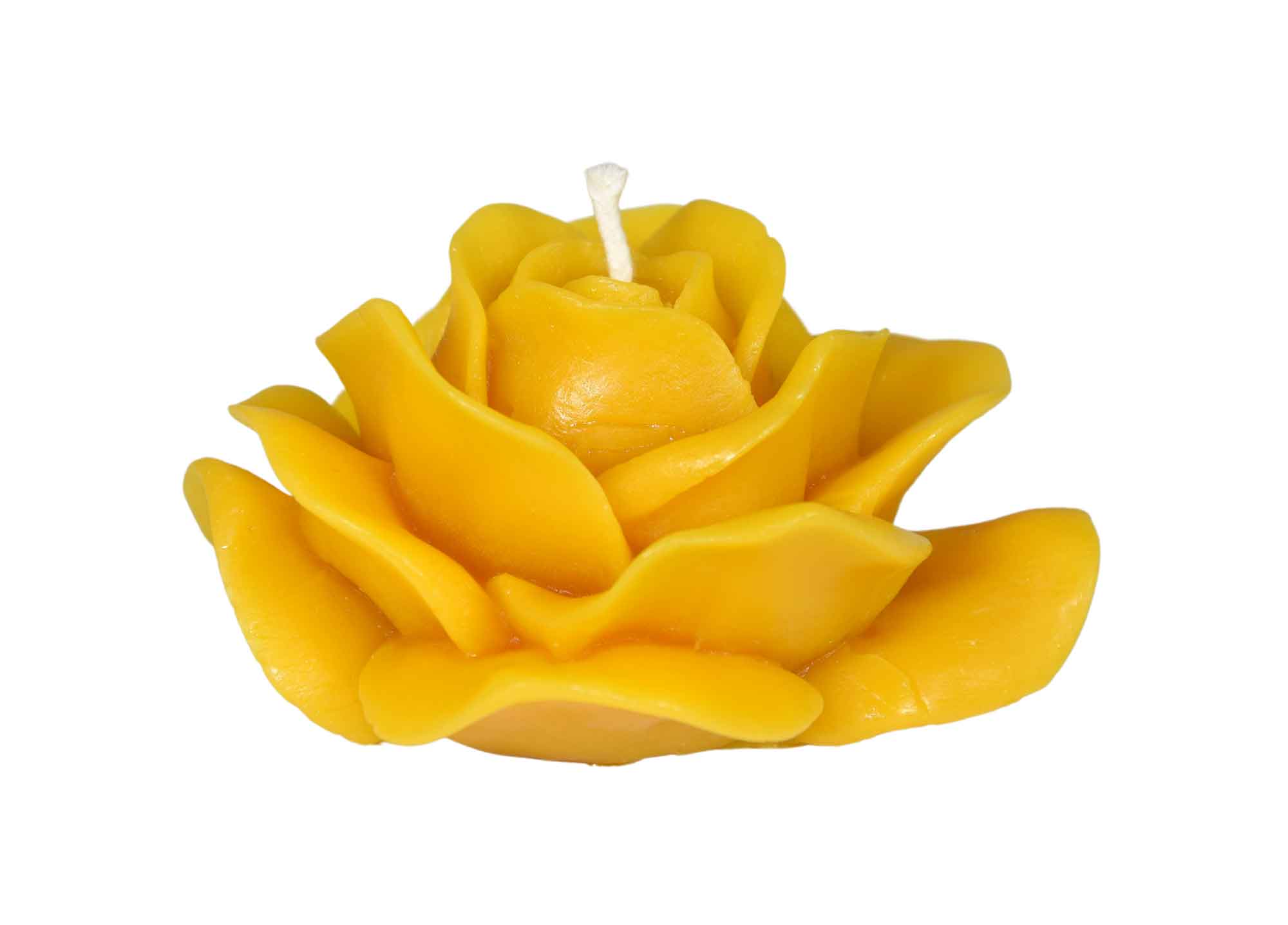 Gießform Rosenblüte